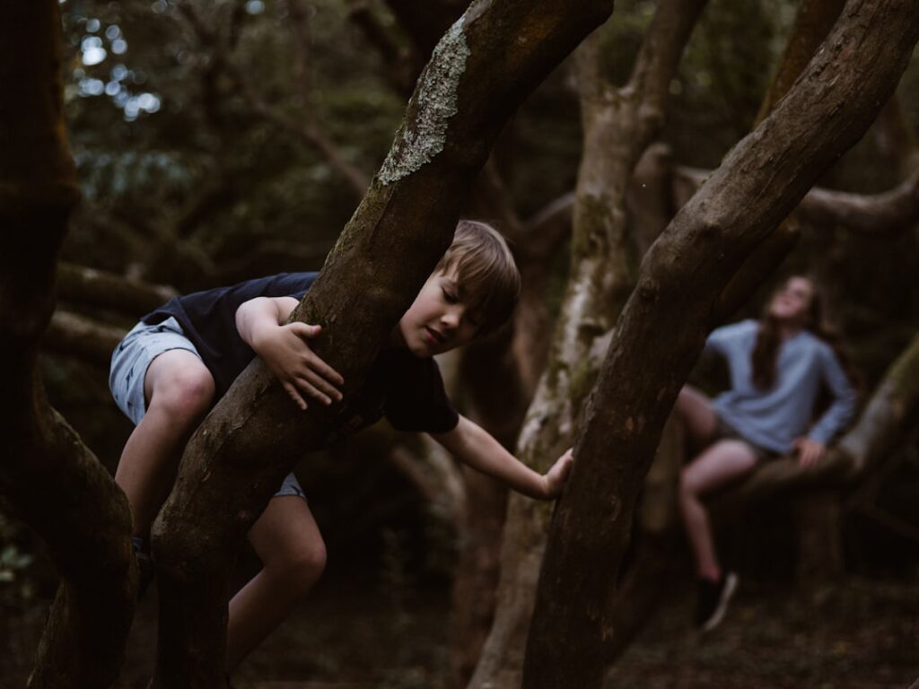 Photo Sibling conflict