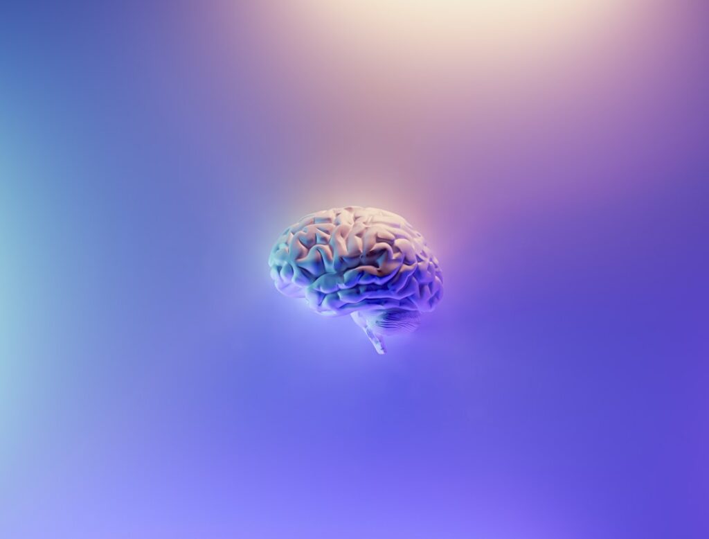 Photo Brain scans