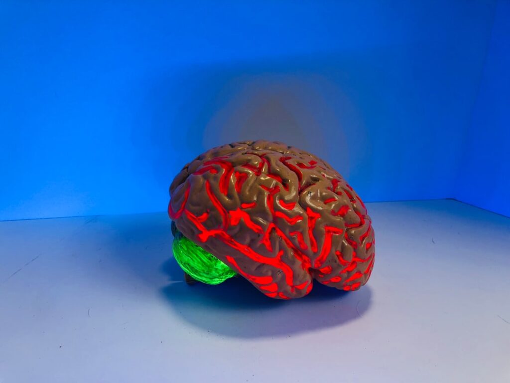 Photo Brain plasticity